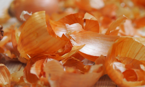 Почему луковую шелуху называют секретным оружием огородника: 5 неожиданных способов использования